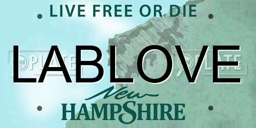 LABLOVE New Hampshire License Plate