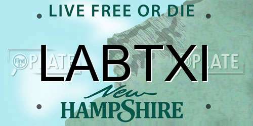 LABTXI New Hampshire License Plate
