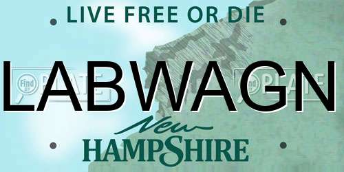 LABWAGN New Hampshire License Plate
