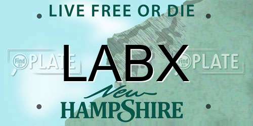 LABX New Hampshire License Plate