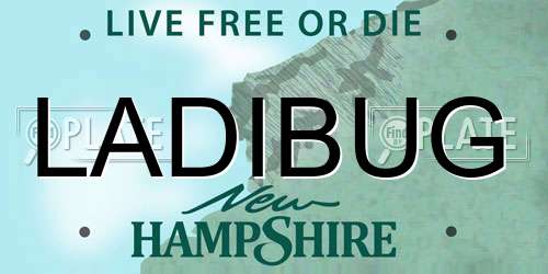 LADIBUG New Hampshire License Plate