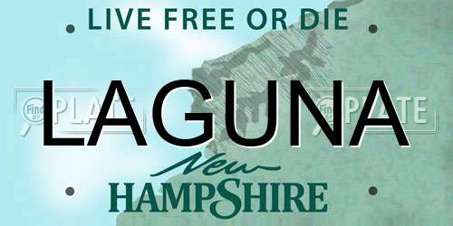 LAGUNA New Hampshire License Plate