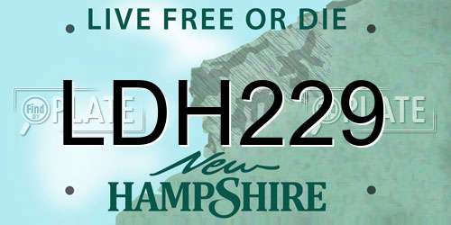 LDH229 New Hampshire License Plate