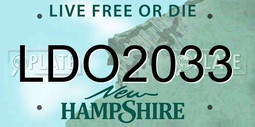 LDO2033 New Hampshire License Plate