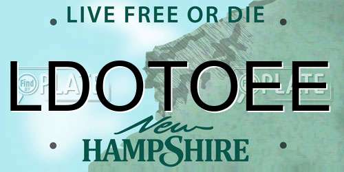 LDOTOEE New Hampshire License Plate