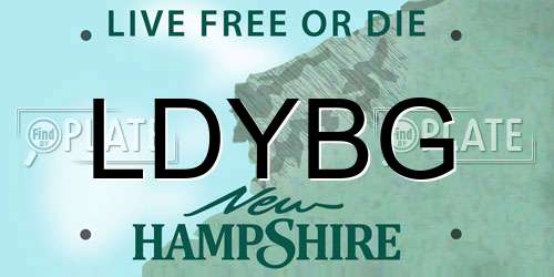 LDYBG New Hampshire License Plate