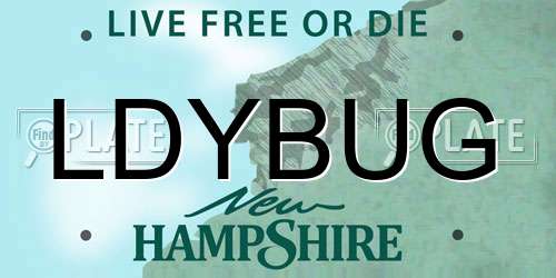 LDYBUG New Hampshire License Plate