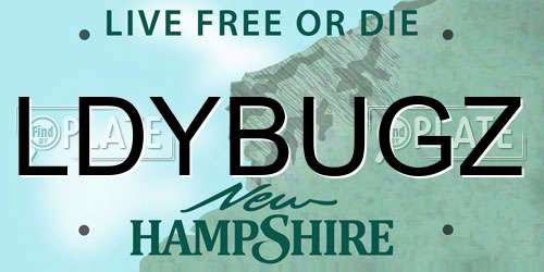 LDYBUGZ New Hampshire License Plate