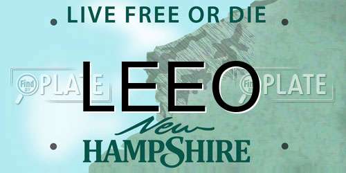 LEEO New Hampshire License Plate