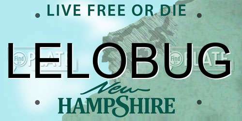 LELOBUG New Hampshire License Plate