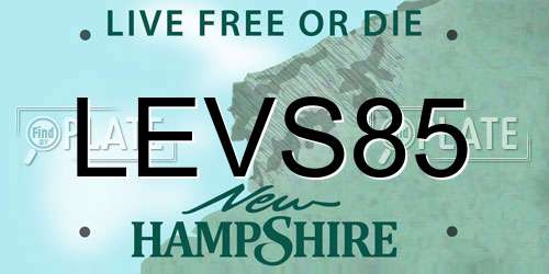 LEVS85 New Hampshire License Plate