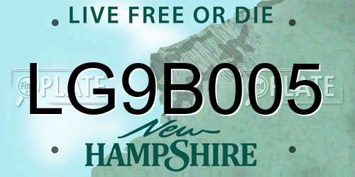 LG9B005 New Hampshire License Plate