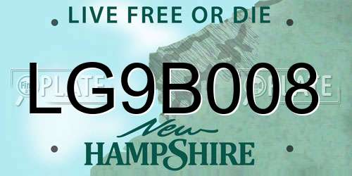 LG9B008 New Hampshire License Plate