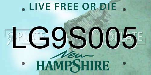LG9S005 New Hampshire License Plate