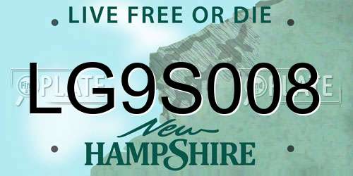 LG9S008 New Hampshire License Plate