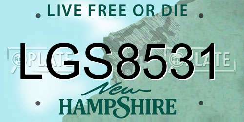 LGS8531 New Hampshire License Plate