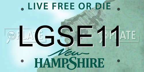 LGSE11 New Hampshire License Plate
