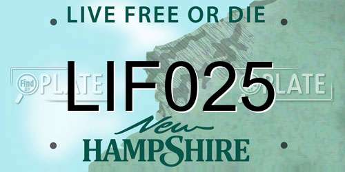 LIF025 New Hampshire License Plate