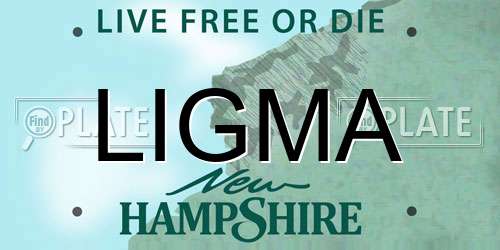 LIGMA New Hampshire License Plate