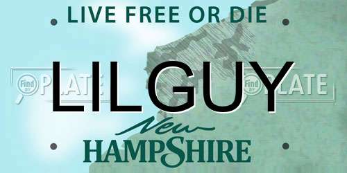 LILGUY New Hampshire License Plate