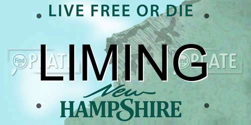 LIMING New Hampshire License Plate