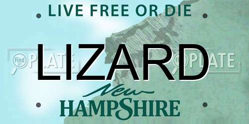 LIZARD New Hampshire License Plate