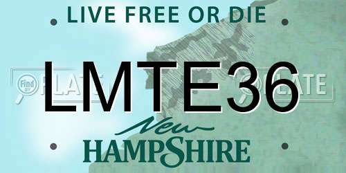 LMTE36 New Hampshire License Plate