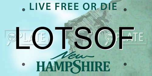 LOTSOF New Hampshire License Plate