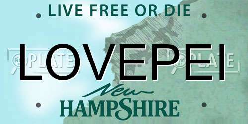 LOVEPEI New Hampshire License Plate
