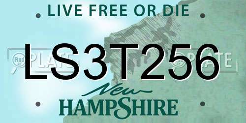 LS3T256 New Hampshire License Plate