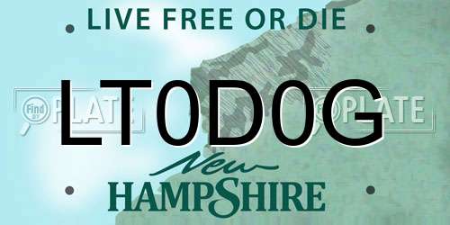 LT0D0G New Hampshire License Plate