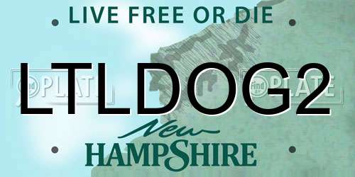 LTLDOG2 New Hampshire License Plate