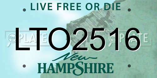 LTO2516 New Hampshire License Plate