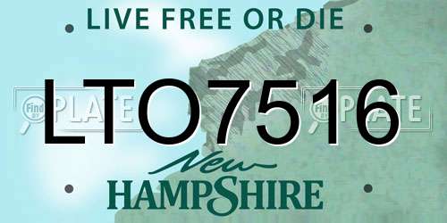 LTO7516 New Hampshire License Plate