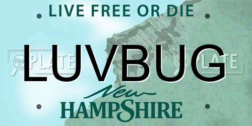 LUVBUG New Hampshire License Plate