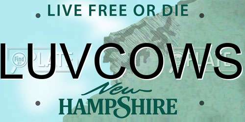 LUVCOWS New Hampshire License Plate