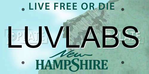 LUVLABS New Hampshire License Plate