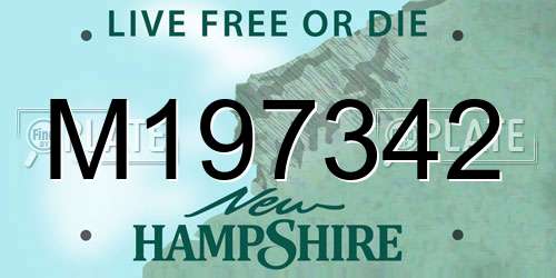 M197342 New Hampshire License Plate