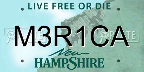 M3R1CA New Hampshire License Plate