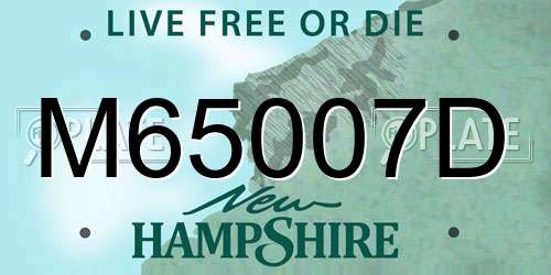 M65007D New Hampshire License Plate