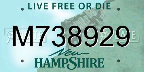 M738929 New Hampshire License Plate