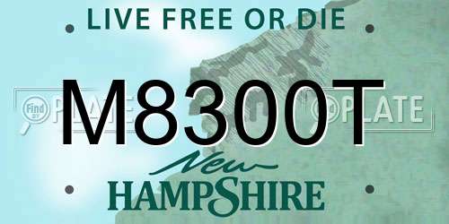 M8300T New Hampshire License Plate