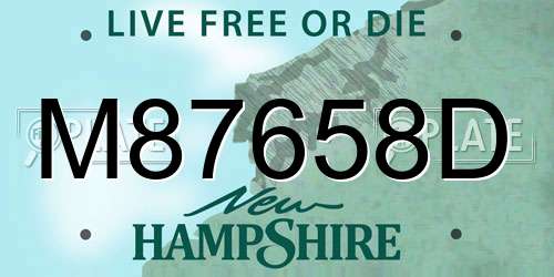 M87658D New Hampshire License Plate