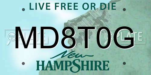 MD8T0G New Hampshire License Plate