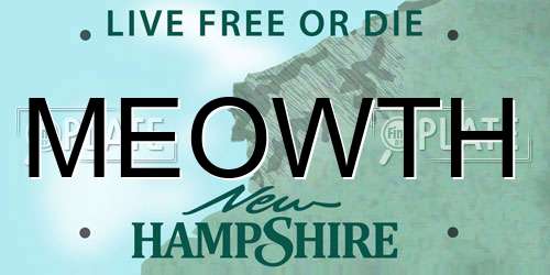 MEOWTH New Hampshire License Plate