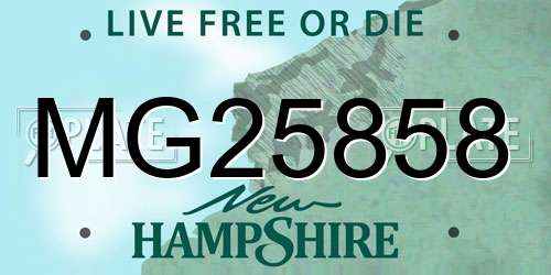MG25858 New Hampshire License Plate