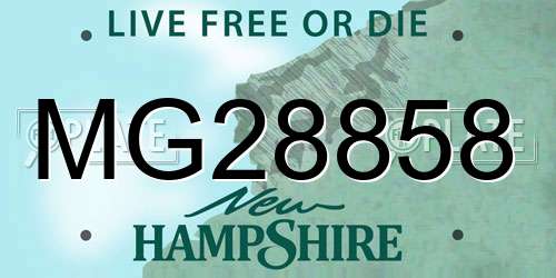 MG28858 New Hampshire License Plate
