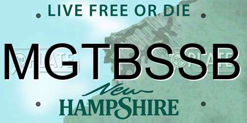 MGTBSSB New Hampshire License Plate