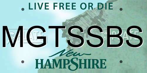 MGTSSBS New Hampshire License Plate