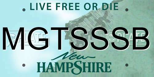 MGTSSSB New Hampshire License Plate